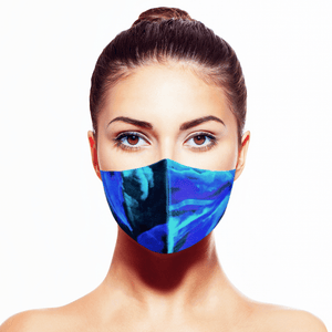 Aurora Borealis Silk Mask - Maskela